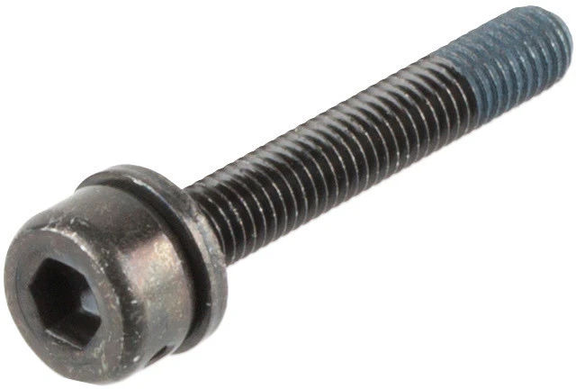 Shimano Tornillos De Montaje Para Adaptador De Frenos De Disco Flat Mount A PM 4 Shimano Tornillos De Montaje Para Adaptador De Frenos De Disco Flat Mount A PM - Imagen 2