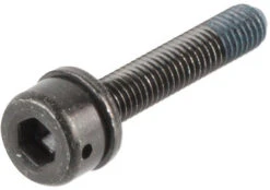 Shimano Tornillos De Montaje Para Adaptador De Frenos De Disco Flat Mount A PM 9 Shimano Tornillos De Montaje Para Adaptador De Frenos De Disco Flat Mount A PM -Dt-Swiss Ventas 146661