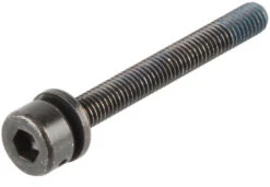 Shimano Tornillos De Montaje Para Adaptador De Frenos De Disco Flat Mount A PM 11 Shimano Tornillos De Montaje Para Adaptador De Frenos De Disco Flat Mount A PM -Dt-Swiss Ventas 147125