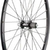 Rueda Mountain XT Disc Center Lock 29" 2 Rueda Mountain XT Disc Center Lock 29" -Dt-Swiss Ventas 174718
