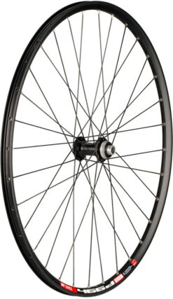 Rueda Mountain XT Disc Center Lock 29" 15 Rueda Mountain XT Disc Center Lock 29" -Dt-Swiss Ventas 174721