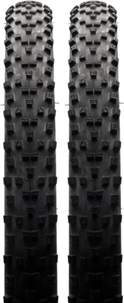 MAXXIS Set De 2 Cubiertas Plegables Forekaster EXO Protection 29" -Dt-Swiss Ventas 276826