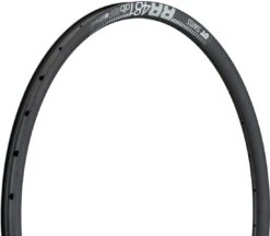 Dt-swiss Llanta RR 481 Disc 29"