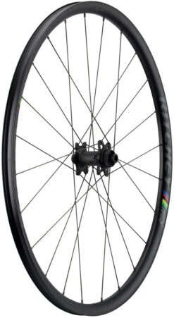 RITCHEY Juego De Ruedas WCS Zeta Disc Center Lock -Dt-Swiss Ventas 319328