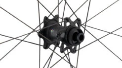 RITCHEY Juego De Ruedas WCS Zeta Disc Center Lock -Dt-Swiss Ventas 319329