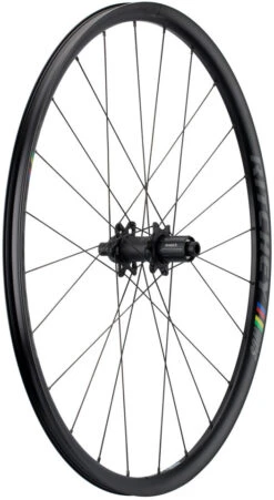 RITCHEY Juego De Ruedas WCS Zeta Disc Center Lock -Dt-Swiss Ventas 319330