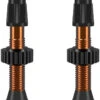 Wtb Válvula Tubeless TCS Aluminium Presta -Dt-Swiss Ventas 319434
