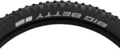 Schwalbe Cubierta De Alambre Big Betty Performance ADDIX BikePark 26" -Dt-Swiss Ventas 345809