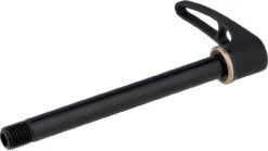 Dt-swiss Eje Pasante RWS Road Con Palanca De Cierre Rápido 12 Dt-swiss Eje Pasante RWS Road Con Palanca De Cierre Rápido -Dt-Swiss Ventas 348243