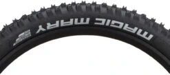 Schwalbe Cubierta Pleg. Magic Mary Evolution ADDIX Soft Super Trail 26" -Dt-Swiss Ventas 349487