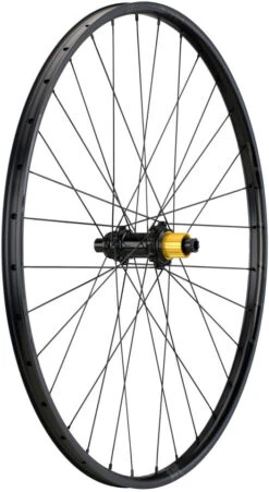 Tune Juego De Ruedas Race 23 Endurance Boost Disc Center Lock 29" -Dt-Swiss Ventas 377784