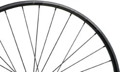 Tune Juego De Ruedas Race 23 Endurance Boost Disc Center Lock 29" -Dt-Swiss Ventas 377786