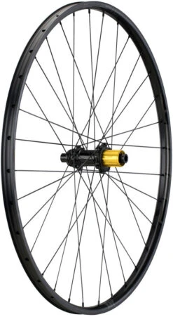 Tune Juego De Ruedas Race 23 Endurance Boost Disc Center Lock 29" -Dt-Swiss Ventas 377790