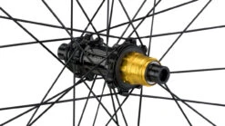 Tune Juego De Ruedas Race 23 Endurance Boost Disc Center Lock 29" -Dt-Swiss Ventas 377798