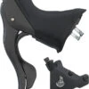 Campagnolo® Freno Disco Record Maneta De Cambios/frenos 12s Hidr. Ergopower 2021
