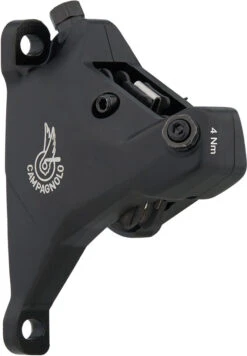 Campagnolo® Freno Disco Record Maneta De Cambios/frenos 12s Hidr. Ergopower 2021 -Dt-Swiss Ventas 422627
