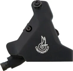 Campagnolo® Freno Disco Record Maneta De Cambios/frenos 12s Hidr. Ergopower 2021 -Dt-Swiss Ventas 422634