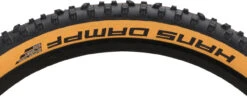 Schwalbe Cubierta Plegable Hans Dampf Evolution ADDIX Soft Super Trail 29+ -Dt-Swiss Ventas 446914